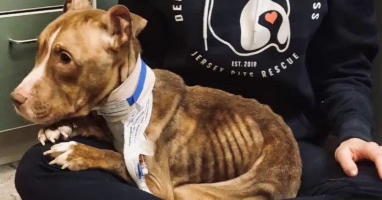 She Kept Waiting for Someone to Care, Until She Finally Fainted